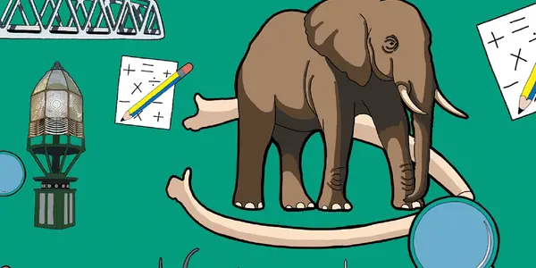 Activities Preview NMS Maths Trail