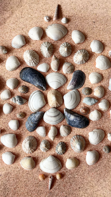 Beach Games Preview 450x675