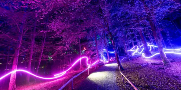 Preview Women in Maths