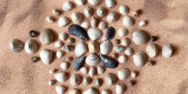 Beach games activity preview