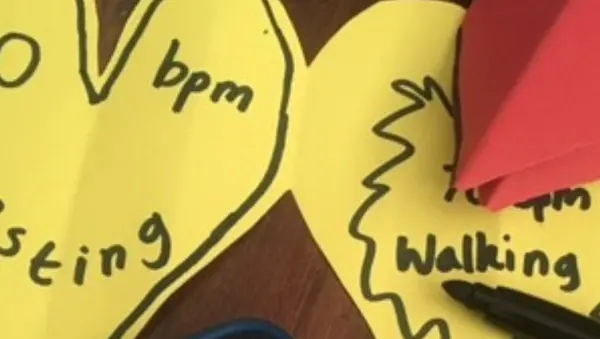 MWS 23 Schools Vol 2 preview header