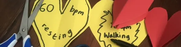 MWS 23 Schools Vol 2 preview header