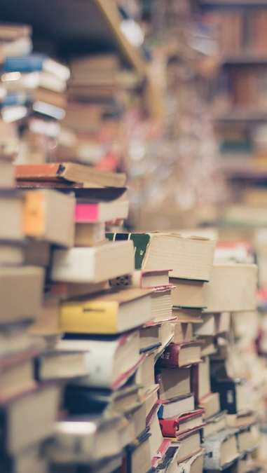Libraries Preview 450x675