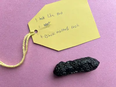 Ed Book Fest Piku 23