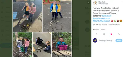 MWS school examples natural patterns