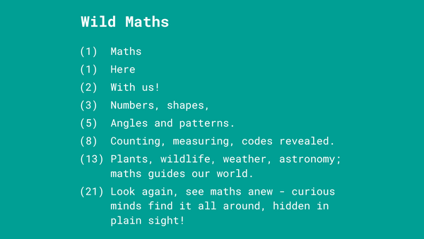 Wild Maths Poem Preview