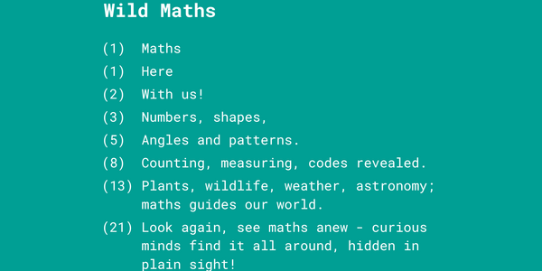 Wild Maths Poem Preview