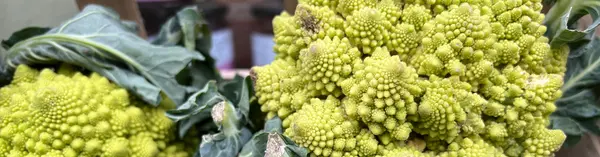 Fiobonacci Poem Header