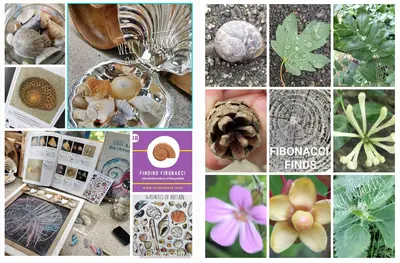 Welly walkers fibonacci