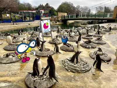 Chapter 1 Artwork penguins