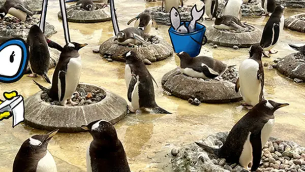 Zoo Adventure News Header