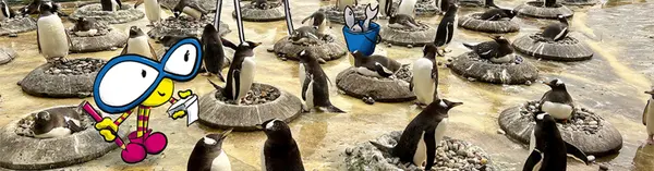 Zoo Adventure News Header