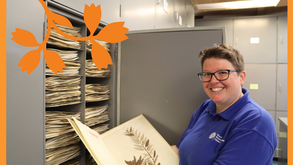 Herbarium promo images 2