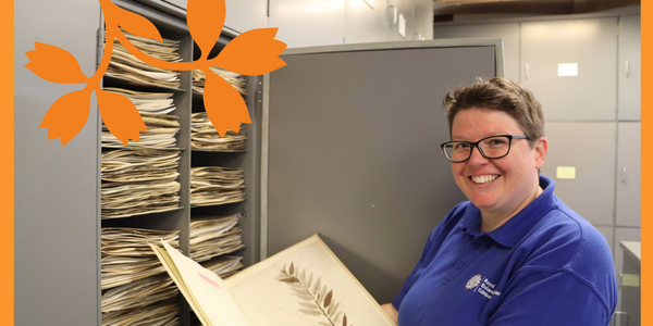 Herbarium promo images 2