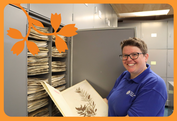 Herbarium promo images 2