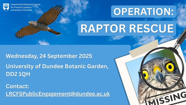 Operation Raptor Rescue Landscape