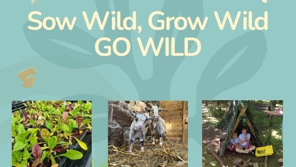 Sow Wild Grow Wild GO Wil D