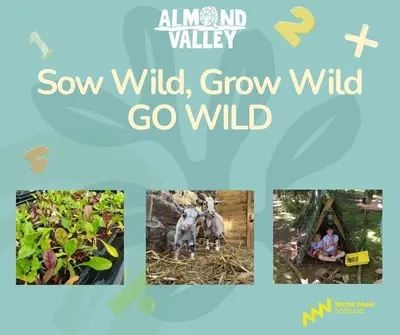 Sow Wild Grow Wild GO Wil D