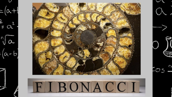Fibonacci Spiral