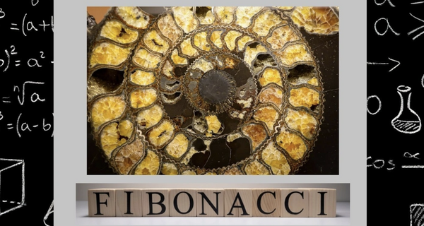 Fibonacci Spiral