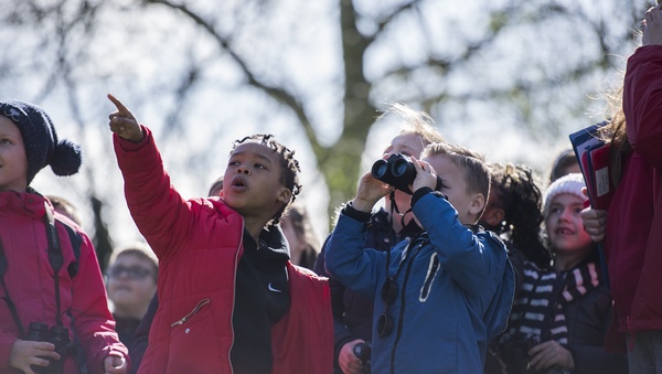 RSPB Big Schools Birdwatch
