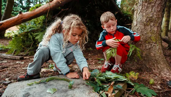 Scouts Scotland Fordell Firs 0465