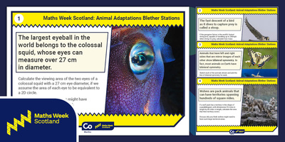 Conduit animal blether stations