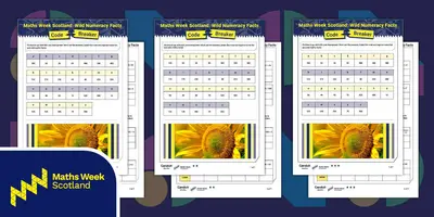 Conduit wild numeracy codebreaker