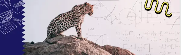 Conduit wild maths banner