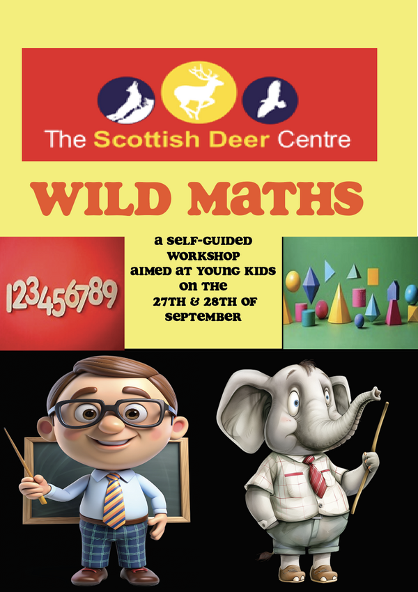 Deer Centre Poster
