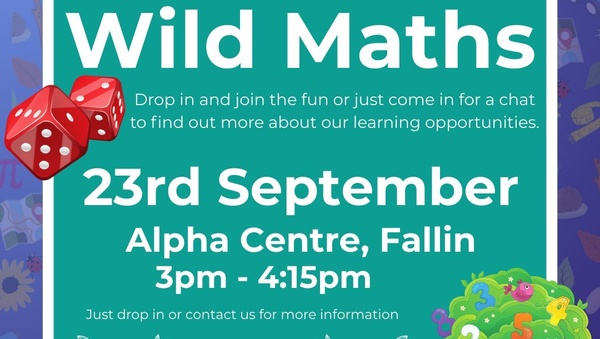 Wild Maths Fallin