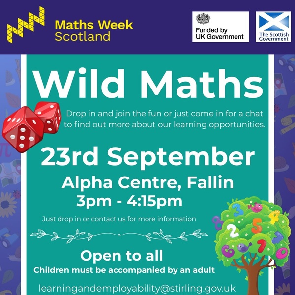 Wild Maths Fallin