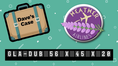 D2 Cabin bags
