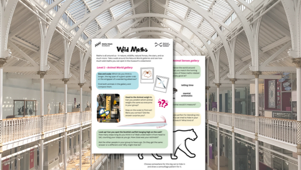 Wild Maths Trail N Mo S Preview