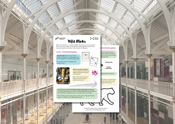 Wild Maths Trail N Mo S Preview v2