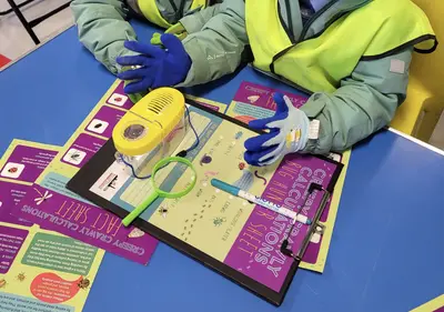 Mini beast calculations