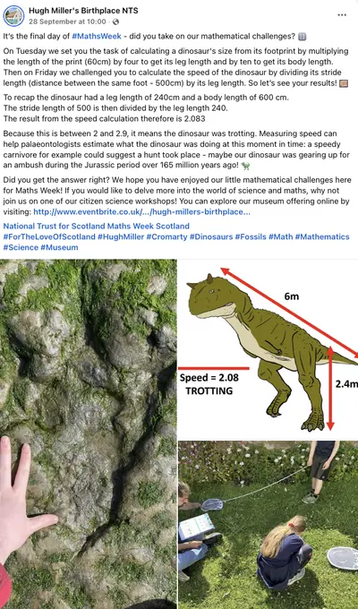 Dinosaur measuring