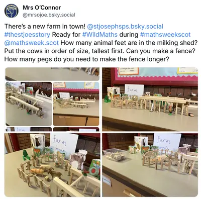 Wild Maths Highlights3