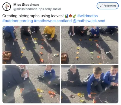 Wild Maths Highlights5