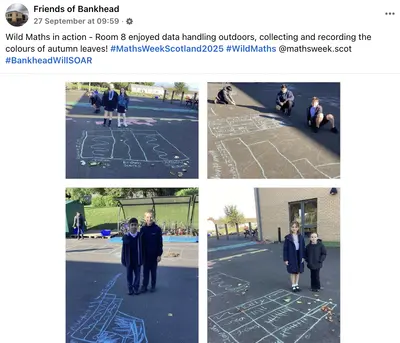 Wild Maths Highlights6