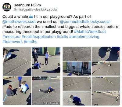 Wild Maths Highlights8