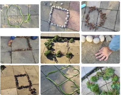 Wild Maths Highlights9