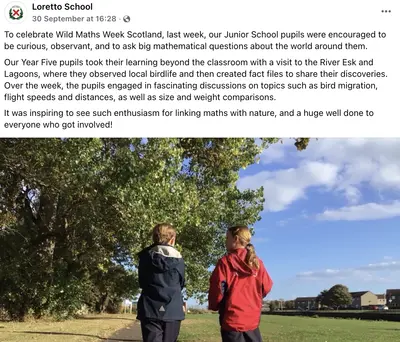 Wild Maths Highlights11