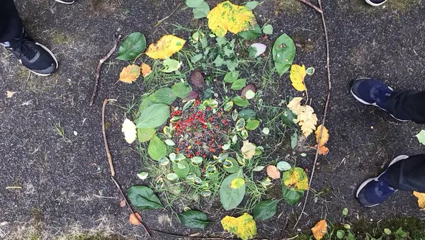 Wild Maths Highlights preview