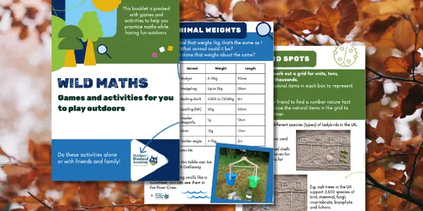 DGOWL Wild Maths Preview