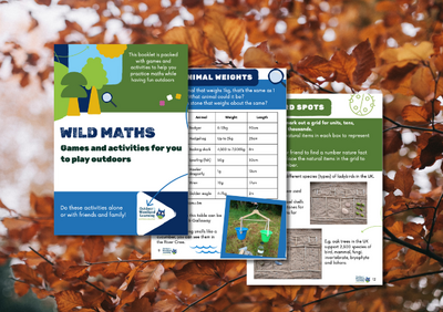 DGOWL Wild Maths Preview