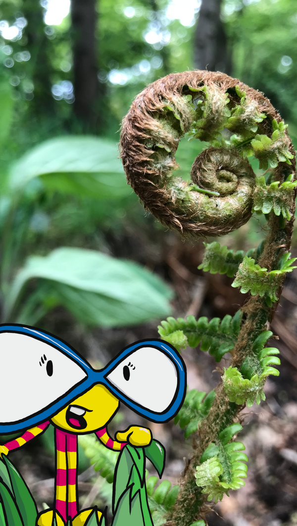 Wild Maths Adventure Preview portrait