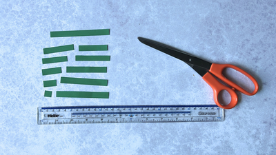 Sort by Size Card 05