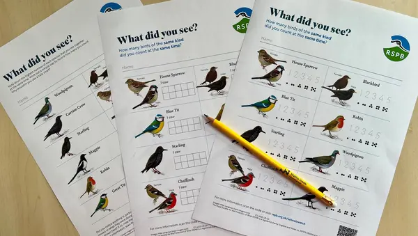 RSPB Birdwatch Sheets