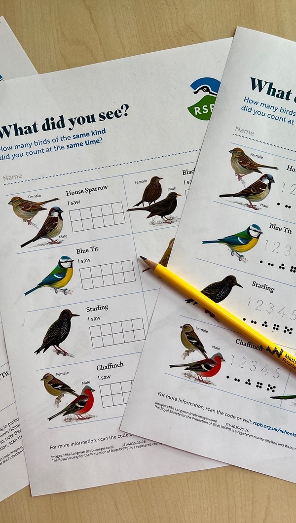 RSPB Birdwatch Sheets